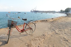 Biking in Stone Town || Zanzibar