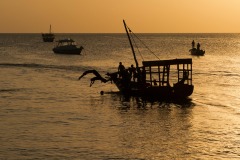 Evening Swim || Zanzibar, Unguja