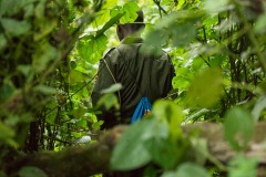 Hiking Bwindi Impenetrable National Park || Uganda