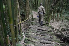 Mount Sabyinyo Hut || Mgahinga Gorilla National Park, Uganda