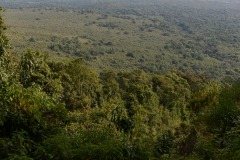 Mount Sabyinyo Hut || Mgahinga Gorilla National Park, Uganda