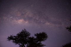 Serengeti Milky Way || Serengeti National Park, Tanzania