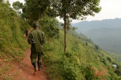 Virunga Path || Uganda