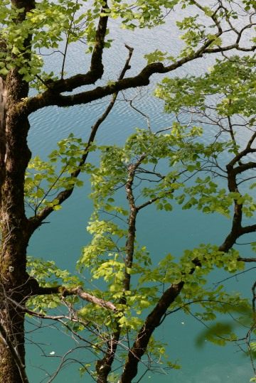 Plitvice Lakes || Plitvice Lakes, Croatia
