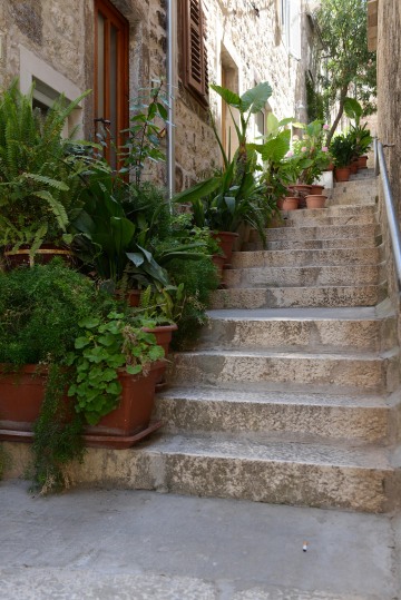 Steps of Hvar || Croatia