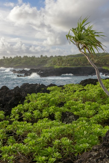 Black Sand Beach || Waiʻanapanapa, Hawaii