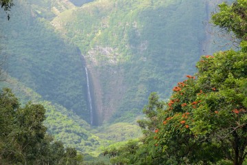 Halawa Valley || Molokai