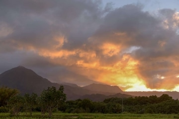 Hanalei Sunset || Kauai