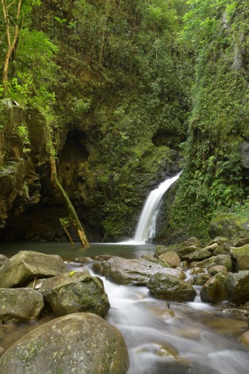 Hidden Falls along Wailua Stream || Maui, Hawaii
