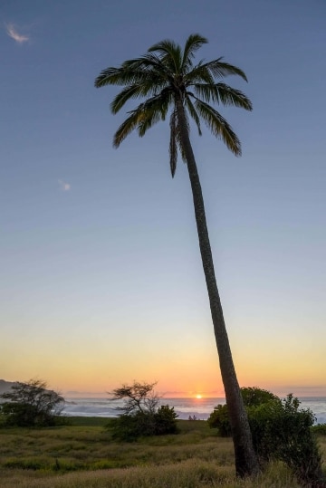 Kepuhi Beach || Molokai