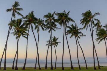 One Alii Park || Molokai, HI