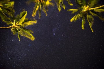 Palms Against the Night Sky || Molokai