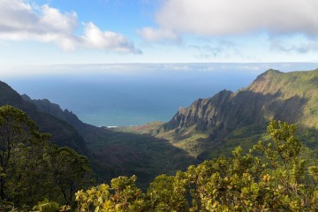 Pihea Trail || Kōke'e State Park