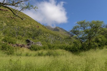 Puʻu Kukui || Maui