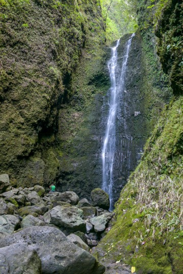 Punalau Falls || Maui, Hawaii