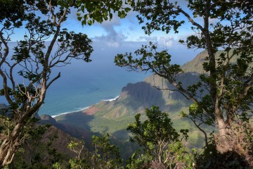 Pu'u O Kila Lookout || Kōkeʻe State Park