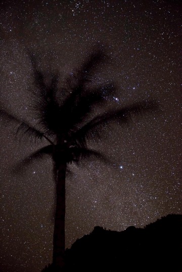 Stars over Polihale Beach || Kauai, Hawaii