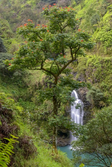 Wailua Iki Falls || Maui, Hawaii