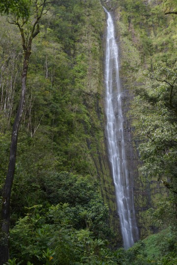 Waimoku Falls || Pipiwai Trail in Maui