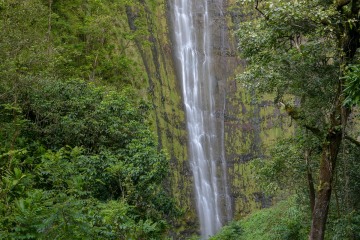Waimoku Falls || Pipiwai Trail in Maui