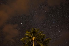 Palms Against the Night Sky || Molokai