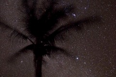 Stars over Polihale Beach || Kauai, Hawaii
