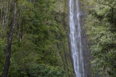 Waimoku Falls || Pipiwai Trail in Maui