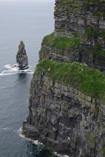 Cliffs of Moher || County Clare