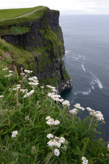 Cliffs of Moher || County Clare