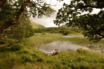 Grounds of Kylemore Abbey || County Mayo