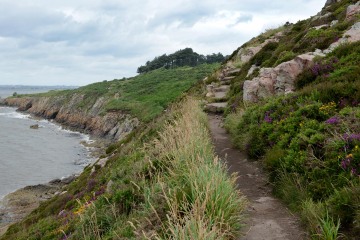 Hiking in Howth || Ireland