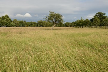 Phoenix Park || Dublin