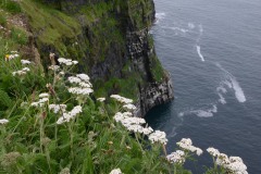 Cliffs of Moher || County Clare