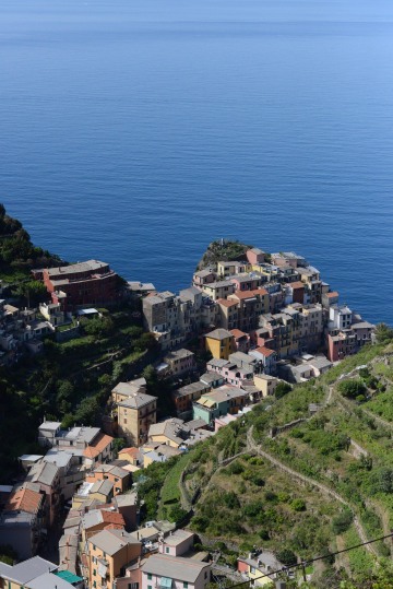 Hillside View of Manarola || Cinque Terre