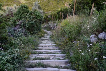 Stone Stairs in Manarola || Cinque Terre