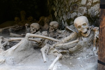 Skeletal Remains among Ancient Ruins || Herculaneum, Italy