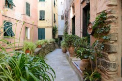Streets of Vernazza || Cinque Terre
