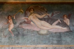 The Birth of Venus || Pompeii