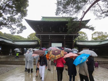 Meiji Shrine || Shibuya, Tokyo