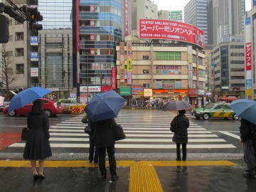 Shibuya Crossing || Tokyo