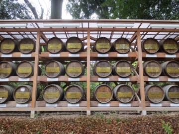 Wine Casks at Meiji Shrine || Shibuya, Tokyo