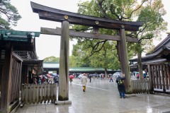 Entrance to Meiji Shrine || Shibuya, Tokyo