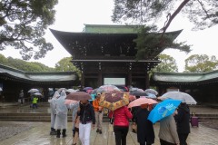 Meiji Shrine || Shibuya, Tokyo