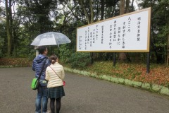 Meiji Shrine || Shibuya, Tokyo