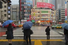 Shibuya Crossing || Tokyo