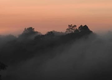 Appalachian Forests at Sunset || Black Rock Mountain, GA