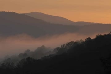 Appalachian Forests at Sunset || Black Rock Mountain, GA
