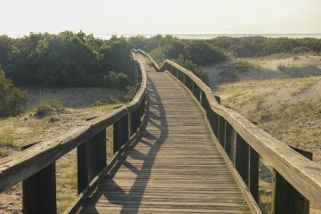 Cumberland Island Boardwalk || GA