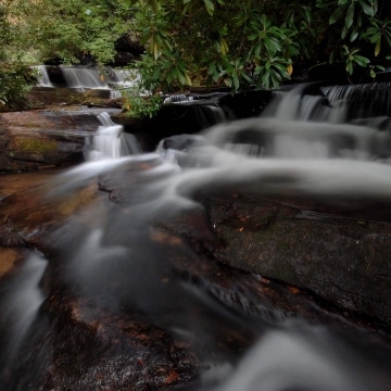 Stream in Southern Apalachia || Georgia