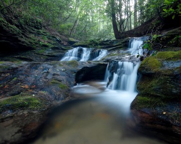 Waterfalls of Appalachia || Georgia